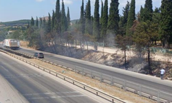 Bursa-İzmir yolunda yangın! Alevler karayoluna ulaştı