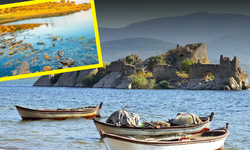 Büyük Menderes'in altın coğrafyası: Söke