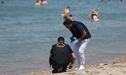 Halk plajında mühimmat alarmı! Ekipler harekete geçti