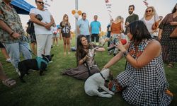 Çeşme’de yeni yaşam alanı açıldı! Açılışta 7 köpek sahiplendirildi