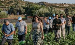 Çeşme’nin ata tohumları geleceğe taşınıyor: Üretim 80 bin fideye çıktı