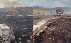Tavas’ta arı kovanları alevlere teslim oldu: Büyük zarar oluştu