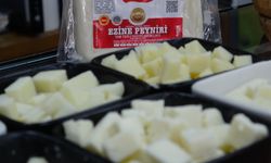 Ezine peynirinde yeni dönem başlıyor: Tüketici ürünün geçmişini öğrenebilecek