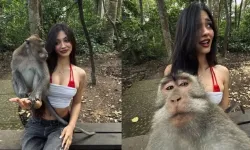 Fenomen Alya Vural'a Tayland'da maymun saldırısı!