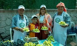 Payamlı’da festival var! Ünlü Bardacık İnciri için yarıştılar! İşte dereceye girenler