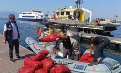 İzmir'de yasa dışı midye baskını! 560 kilo midyeye el konuldu