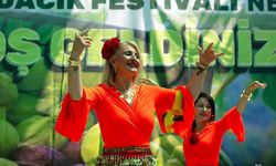İzmir’de hafta sonu rotası belli oldu! Payamlı Festivali başlıyor: İşte gün gün etkinlik programı