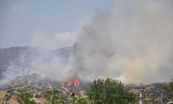 İzmir'de korkutan yangın! 2 uçak ve 6 helikopterle müdahale edildi