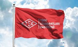 Kamu iş arayanlara fırsat! TSE 129 personel alacak: Başvurular için tarih belli oldu