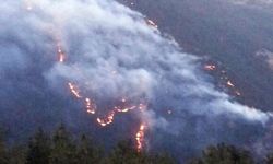 Kazdağları yangınında flaş gelişme! Şüpheli tutuklandı