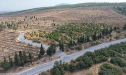 Kış aylarında ulaşımı zorlaştırıyordu: Kınık’taki yollar yenilendi