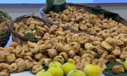 Üreticilerin beklediği haber geldi! Kuru incirin kilo fiyatı belli oldu