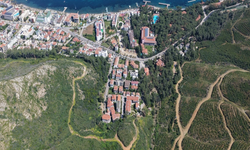 Muğla'da 52 bin 20 hektar zarar görmüştü! Yanan alanlar yeniden yeşerdi