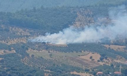 Muğla’da ormanlık alan alevlere teslim oldu!