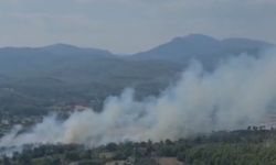Muğla'da alevler yükseldi! Ekipler müdahale ediyor