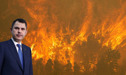 Bakan Kurum açıkladı! Orman yangınlarının bilançosu belli oldu