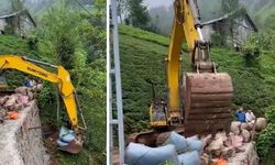 Rize'de çay hasadında şaşırtan yöntem! Tonlarca çayı saniyeler içinde böyle taşıdı