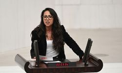 TİP Milletvekili Sera Kadıgil hakkında soruşturma başlatıldı!