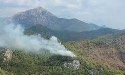 Son Dakika: Ormanlık alanda yangın çıktı! Müdahale sürüyor
