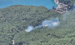Son Dakika: Muğla'da orman yangını çıktı! Ekiplerin müdahalesi devam ediyor