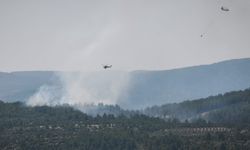 Son Dakika: Ormanlık alanda yangın çıktı! Hem karadan hem de havadan müdahale sürüyor