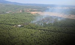 Tınaztepe'de dumanlar yükseldi! Yangın kontrol altına alındı