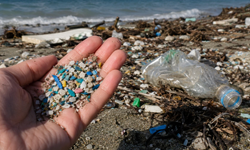 Türkiye'nin kıyılarına ne oluyor? Uzmanlar denizler için uyardı: Mikroplastik kirliliği büyüyor