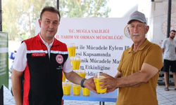 Turunçgil üreticilerine 8 bin tuzak dağıtıldı! Zararlıya karşı yeni mücadele başladı