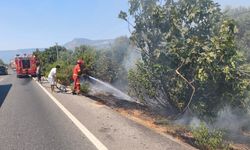 Ula’da korkutanyangın! Alevler yol kenarını sardı