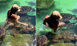 Ünlü modelin tatil anları kabusa döndü! Denizde arkasından sessizce yaklaştı, neye uğradığını şaşırdı