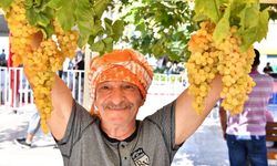 Urla’da 2 bin 600 yıllık gelenek yeniden canlanıyor! Şenliğin tarihi ve programı belli oldu