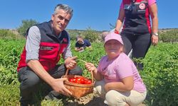 Yamanlar domatesi ile Tarım Günü kutlandı! “Nesillere aktarılacak”
