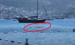 Koyda demirliydi... Bodrum'da akıllara durgunluk veren olay! 11 metrelik tekne battı
