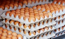 Mutfaktaki o hatayı herkes yapıyor! Yumurtayı saklarken yapılan büyük yanlış: Neden asla buzdolabı kapağına koymamalısın