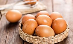 Yumurta bozulur mu? Herkes aynı hatayı yapıyor: Bu belirtilere dikkat