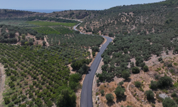 Efes Selçuk’ta yıllardır beklenen yol yatırımı başladı! Sırada 13 kilometrelik güzergah var