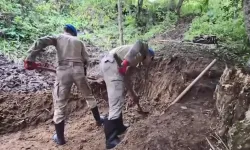 30 yıllık kayıp dosyası çözüldü: Mağaradan kemik ve kıyafet parçaları çıktı