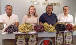 Yaklaşık 30 çeşit üzüm yetişiyor! Avşar'da festival hazırlığı başladı