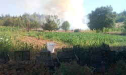 Bursa Kestel'de orman yangını! Havadan ve karadan müdahale başladı
