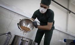 Tescilli glütensiz bisküvi ürettiler! Kayısı çekirdeği bu kez bisküvi oldu