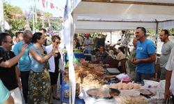 Gökçealan Osmancık Üzüm Şenliği başlıyor! Yerel lezzetler Gökçealan’da buluşuyor