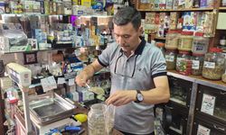 Havalar değişti, hastalık riski arttı! Mevsim geçişlerinde vücut direnci için dikkat çeken öneriler