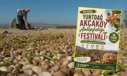 Haydi Akçaköy Antepfıstığı Festivali’ne!
