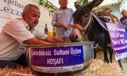 İlginç festival görüntüsü: Eşeğe hoşaf içirmeye çalıştılar