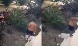 İzmir’de anne kediye tekme atmıştı! Bakın cezası ne oldu?