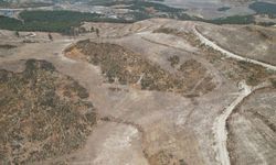 İzmir’de yangının izleri siliniyor: 1 milyon fidan toprakla buluşacak