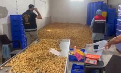 Kuru incir deposuna baskın: Tonlarca ürüne el konuldu