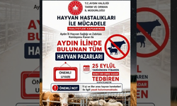 Aydın’da hayvan pazarları kapatıldı! Kararın nedeni belli oldu