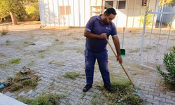 Menderes’te dört koldan müdahale! Yabani otlar tek tek temizleniyor