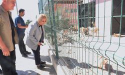 Menderes’te hafta sonu mesaisi: Asuman Şen ihtiyaçları yerinde inceledi